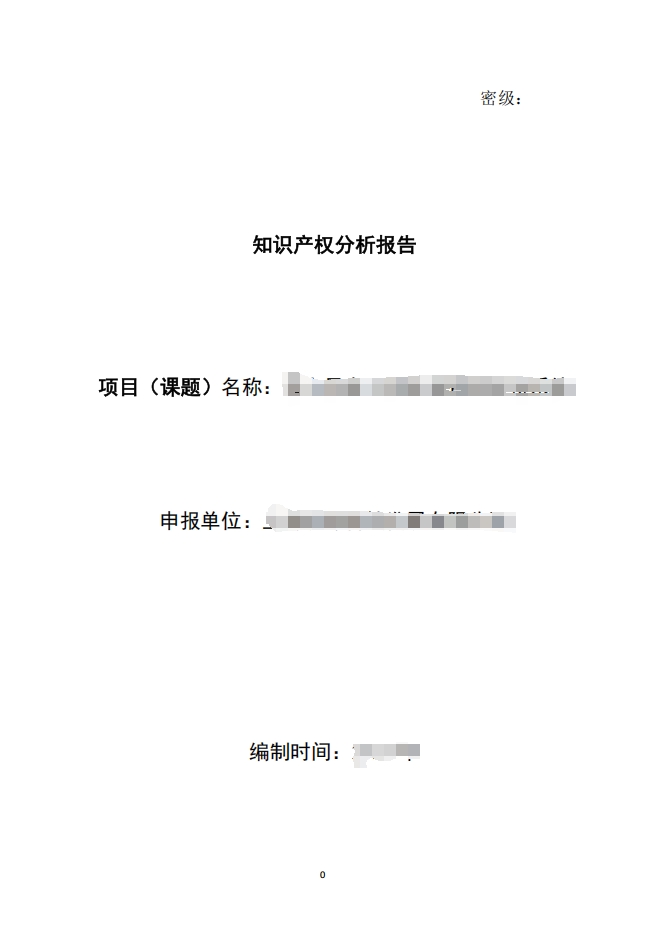 知识产权分析报告样例1