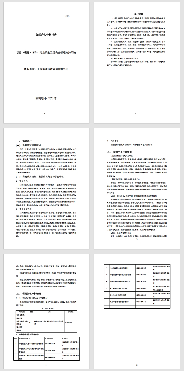 知识产权分析报告样例2