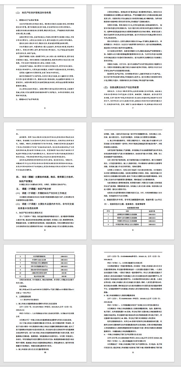 知识产权分析报告样例3