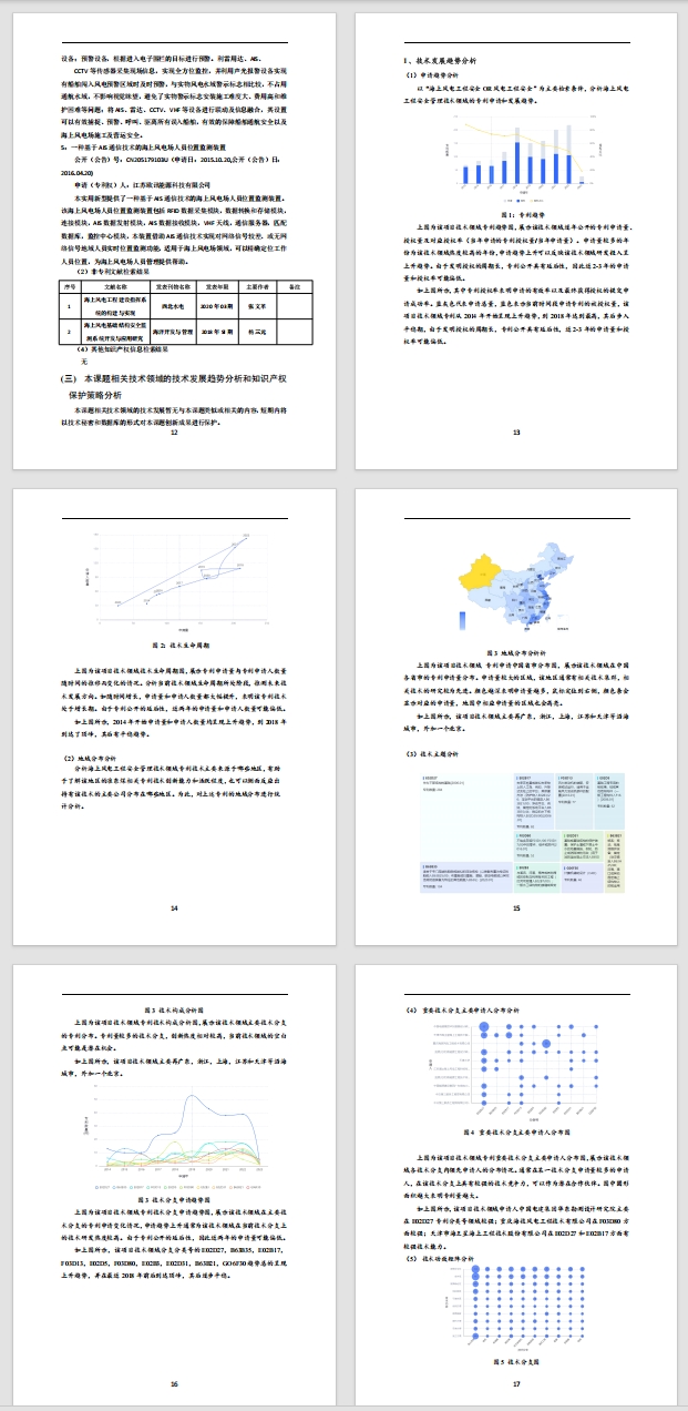 知识产权分析报告样例4