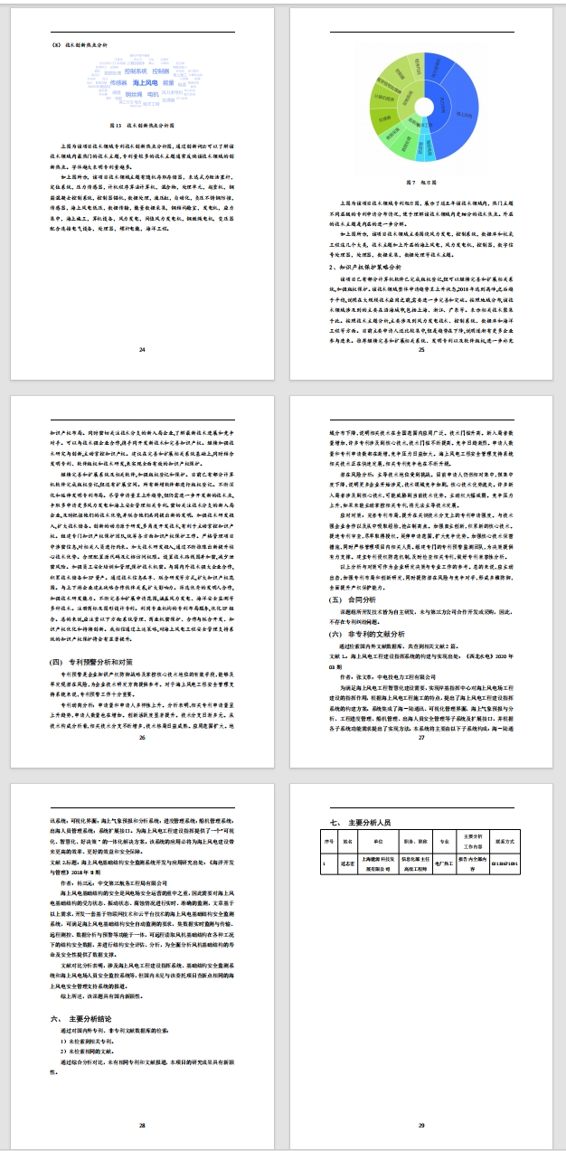 知识产权分析报告样例6