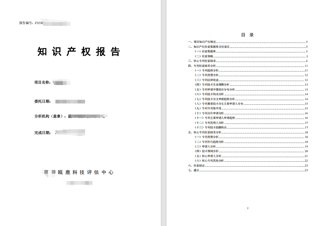 知识产权报告样例1