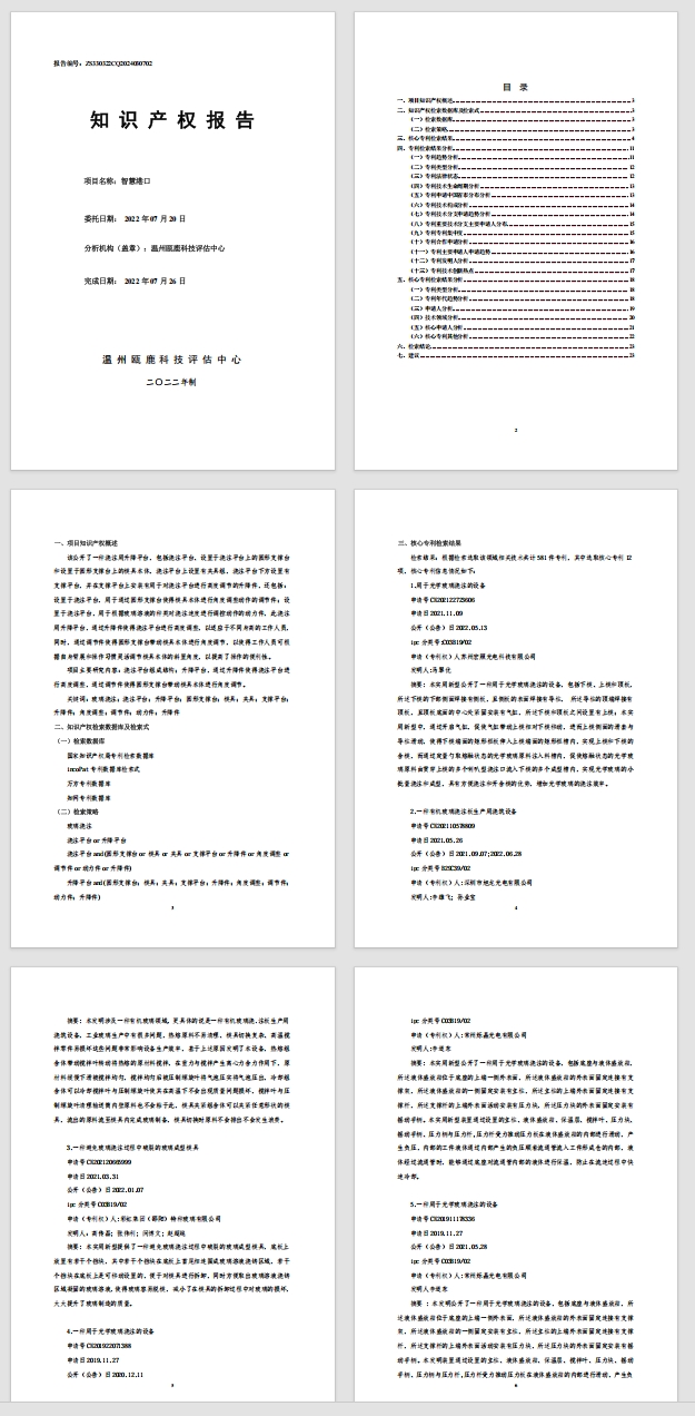 知识产权报告样例2