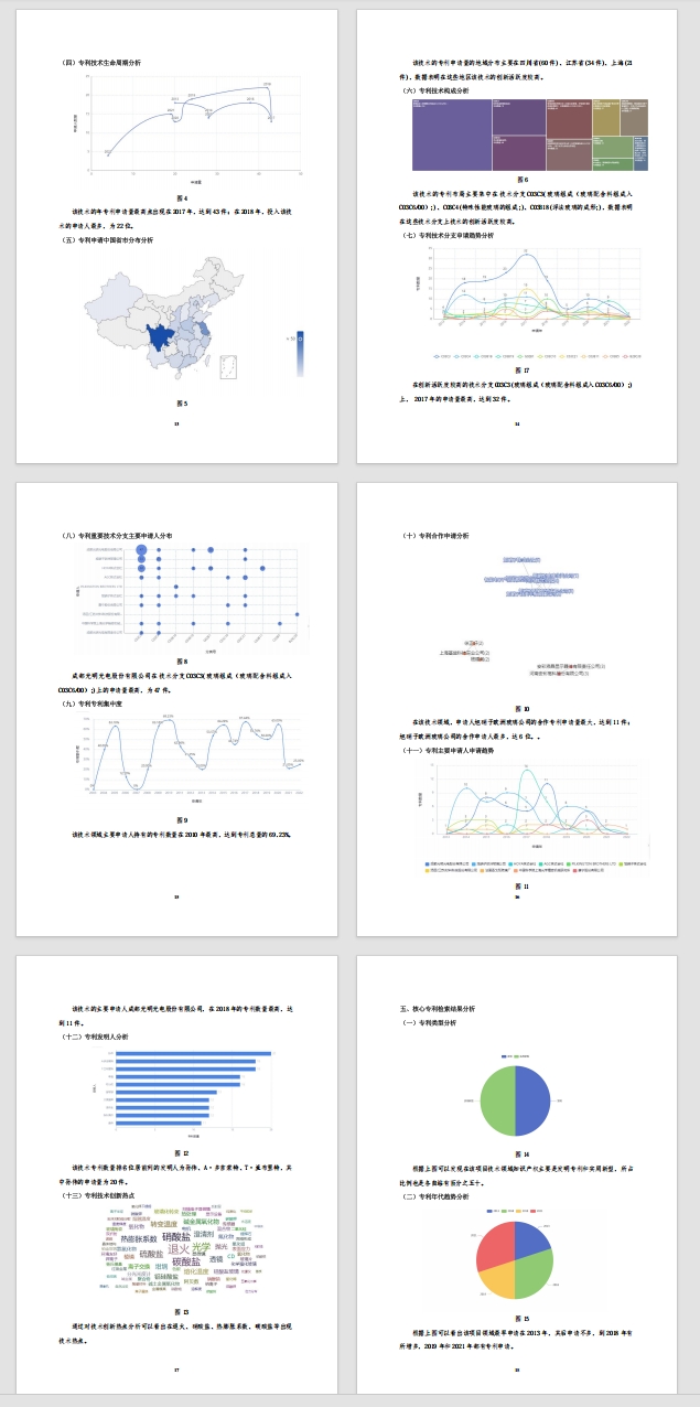 知识产权报告样例4