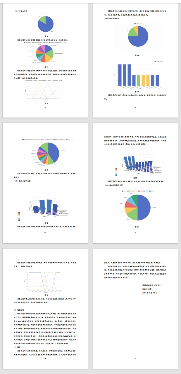 知识产权报告样例5